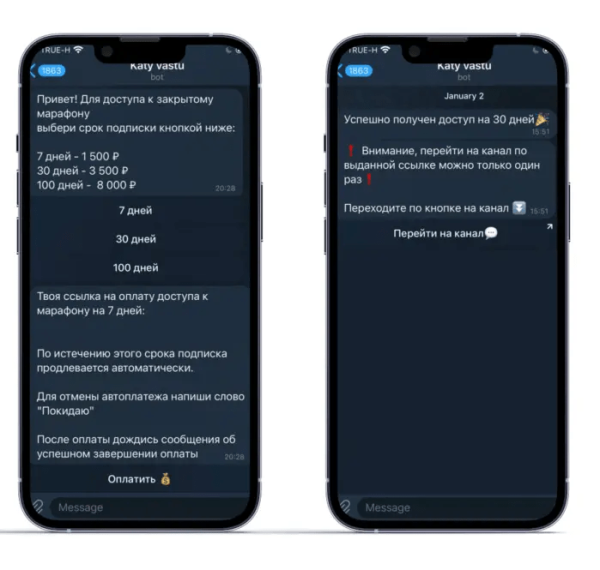 
                    Кейс: Автоматизация клуба по подписке в Telegram            