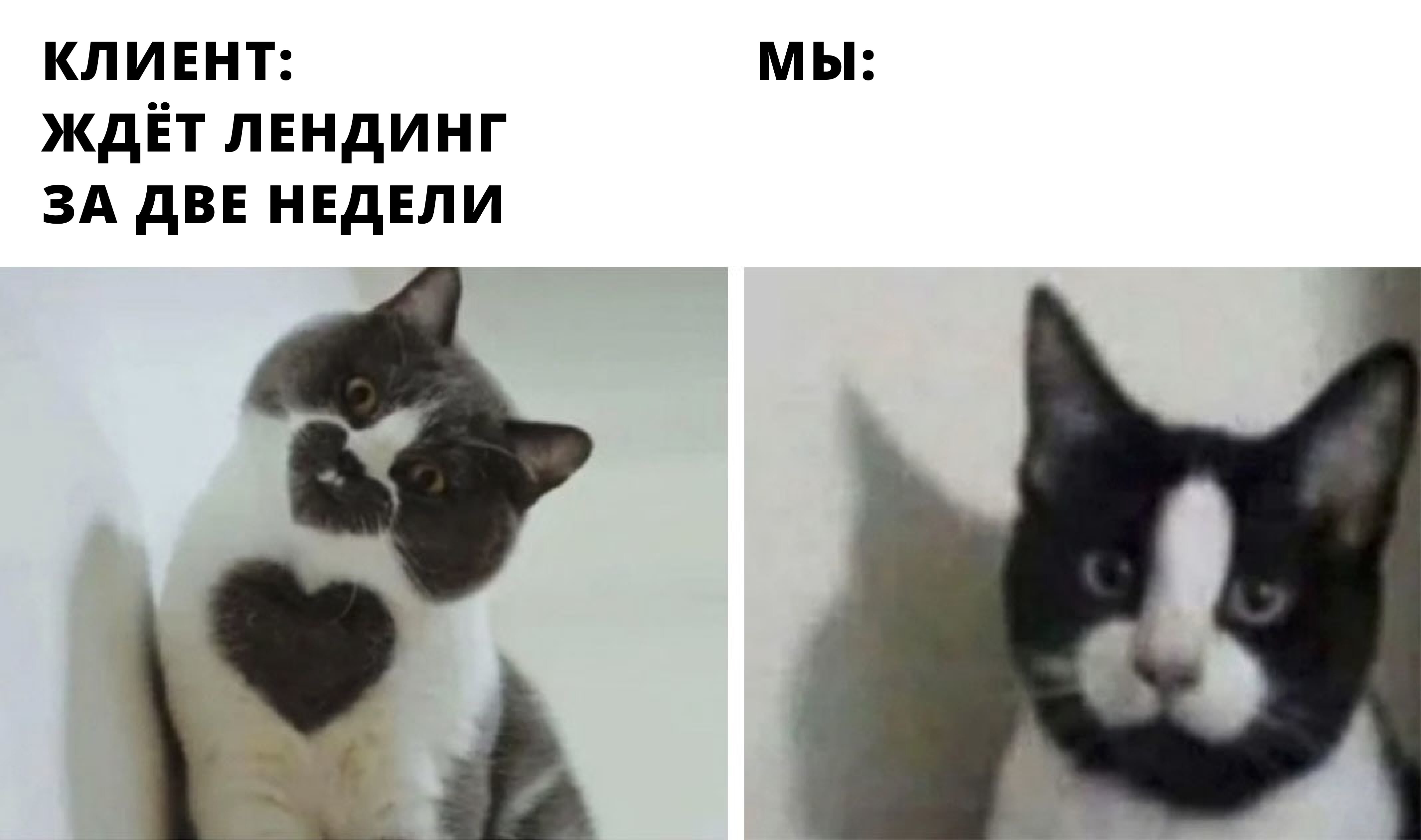 
                    «Соня, где лендинг?» Недопоняли клиента и сорвали сроки. Какие две ошибки мы допустили и какие уроки вынесли            